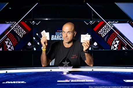stefano puccilli